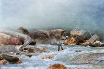 Wolf jumping over a river von Louise Heusinkveld
