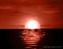 Blood sun rising  by Grant Nicholl