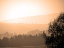 Sonnenaufgang im Nebel von Thomas Brandt