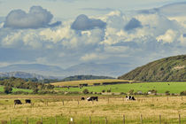 Rural Landscape. von Colin Metcalf