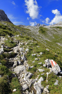 Alpenwanderung von Jens Berger