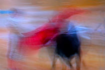 Tauromaquia Abstract bull-fights in Spain von Guido Montañes