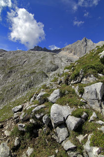 Alpenwanderung by jaybe