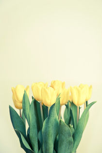 Yellow tulips  von Lars Hallstrom