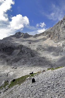 Alpenlandschaft von jaybe