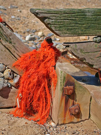Entangled orange net by camera-rustica