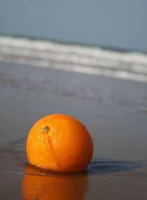 The orange by camera-rustica