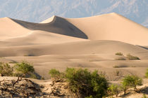 Sand Shapes von Peter Tomsu