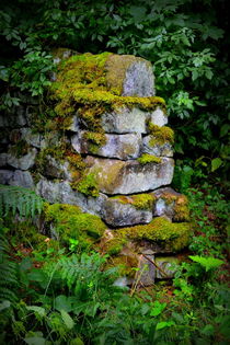 Mossy Wall End by Colin Metcalf