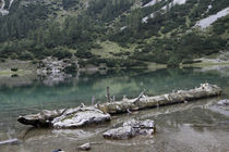 Seebensee by jaybe