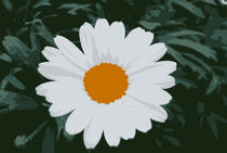 White Flower von tiaeitsch