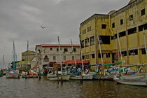 Belize Harbour by Debbie Broad- Carmichael
