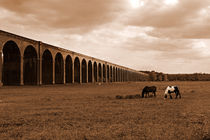 Harringworth Viaduct and Horses Grazing by Louise Heusinkveld