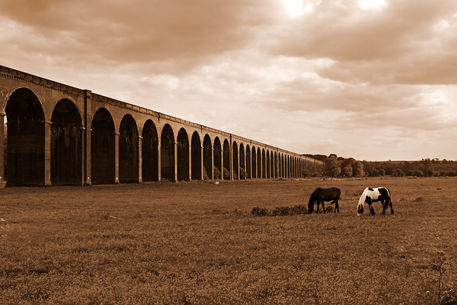 Harringworth-viaduct0328