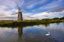 Turf Fen Drainage Mill by Louise Heusinkveld