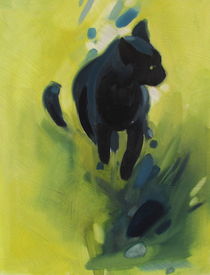 The cat by Jakub Godziszewski