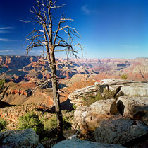 Grand Canyon Blue Skies by Peter Tomsu