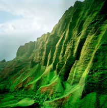Green Kauai by Peter Tomsu