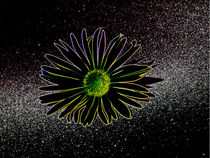 Flower in Space von tiaeitsch