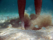 Underwater von Marika Pinto