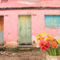 Guate-house-flowers1