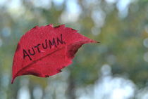 Autumn von Marika Pinto