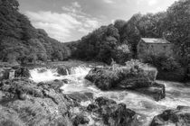 Cenarth Falls by James Biggadike
