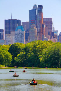 New York City Central Park with Manhattan by Zoltan Duray