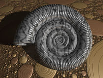 Ammonit by Frank Siegling