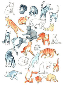Cats von Mikael Biström