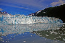 maeres Glacier in Alaska by Reinhard Pantke