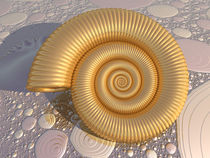 Ammonit in gold von Frank Siegling