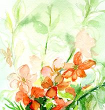 Blumenfrische by claudiag