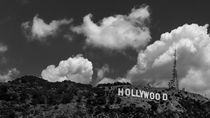 Hollywood by Maico Presente