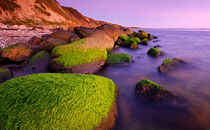 Mossy Rocks on the Beach by Keld Bach