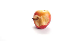 Bad apple II by Ken Howard