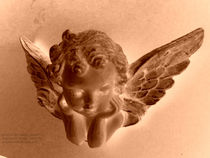               Angelface von angelannette