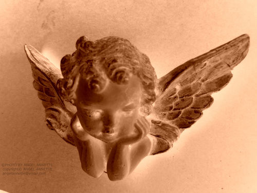 Angelface-2012-002watermark-25
