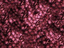 Abstract – Red-Violet Birds In Leaves von David Dehner