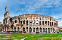 The Colosseum in Rome, Italy von Irina Moskalev