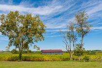 Country Scenery with barn.