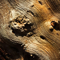 Wood by tr-design
