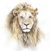 LION by Karin Russer