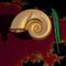 Ammonite-gold-with-feather