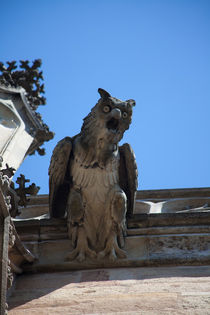 Gargoyle on the Frauenkirche by safaribears