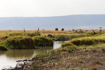 In der Masai Mara von Ralph Patzel