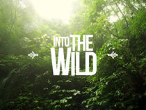 Into the wild by Julien LAGARDÈRE