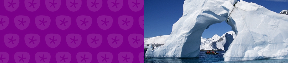 Banner_antarktis