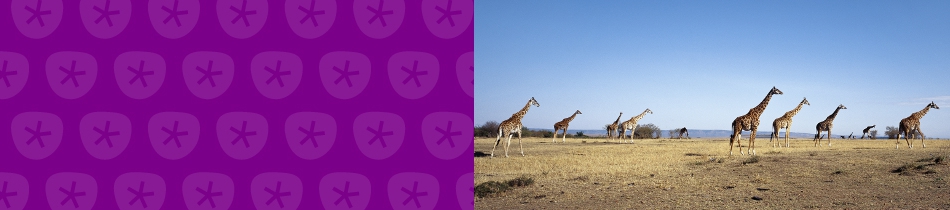 Banner_giraffen
