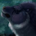 Torachi Lyncaster